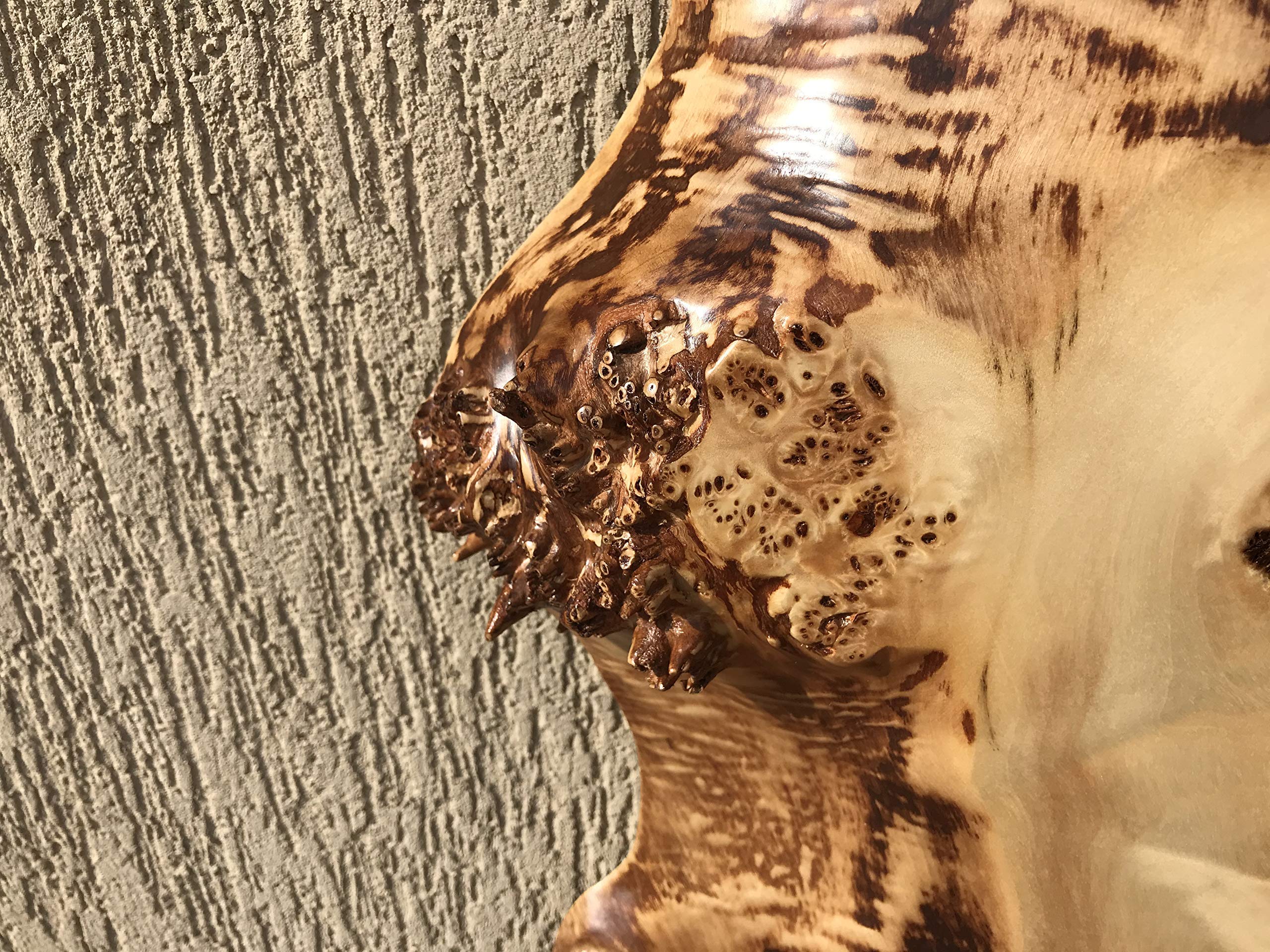 Handcrafted Poplar Burl Live Edge Table Top - Natural Wood Slab for Dining Room, Kitchen Island, or Rustic Home Decor