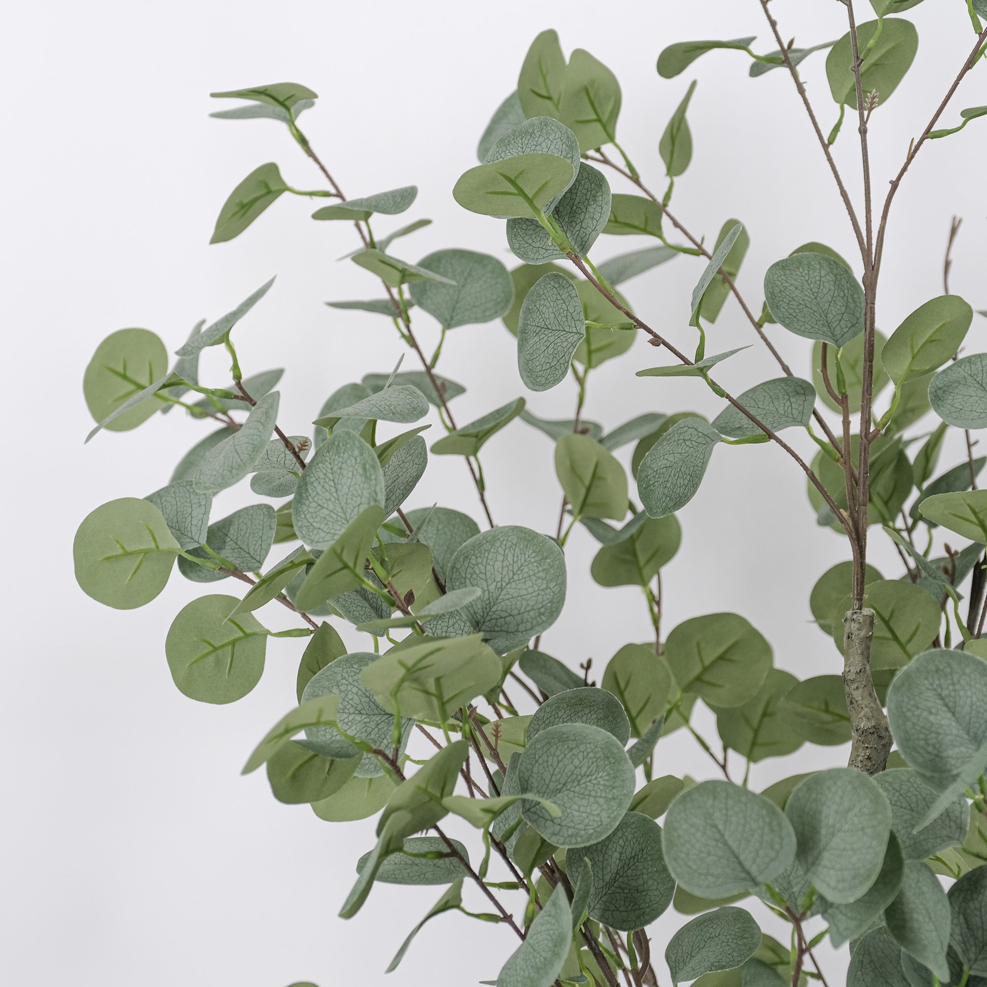 Premium Artificial Silver Dollar Gum Eucalyptus Tree - 5.6ft Tall Realistic Faux Plant for Home Decor, Wedding Centerpieces & Office Greenery - UV Resistant Indoor/Outdoor Use