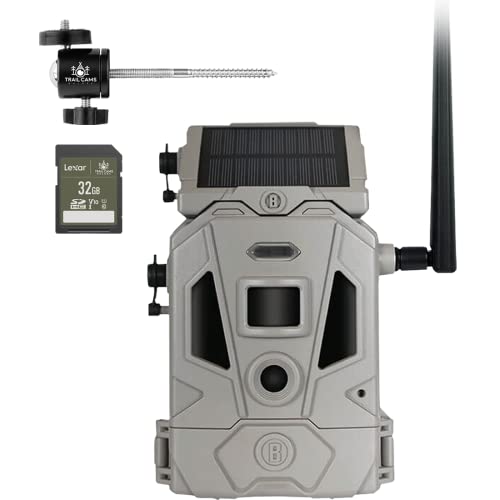 Mount + SD Card
