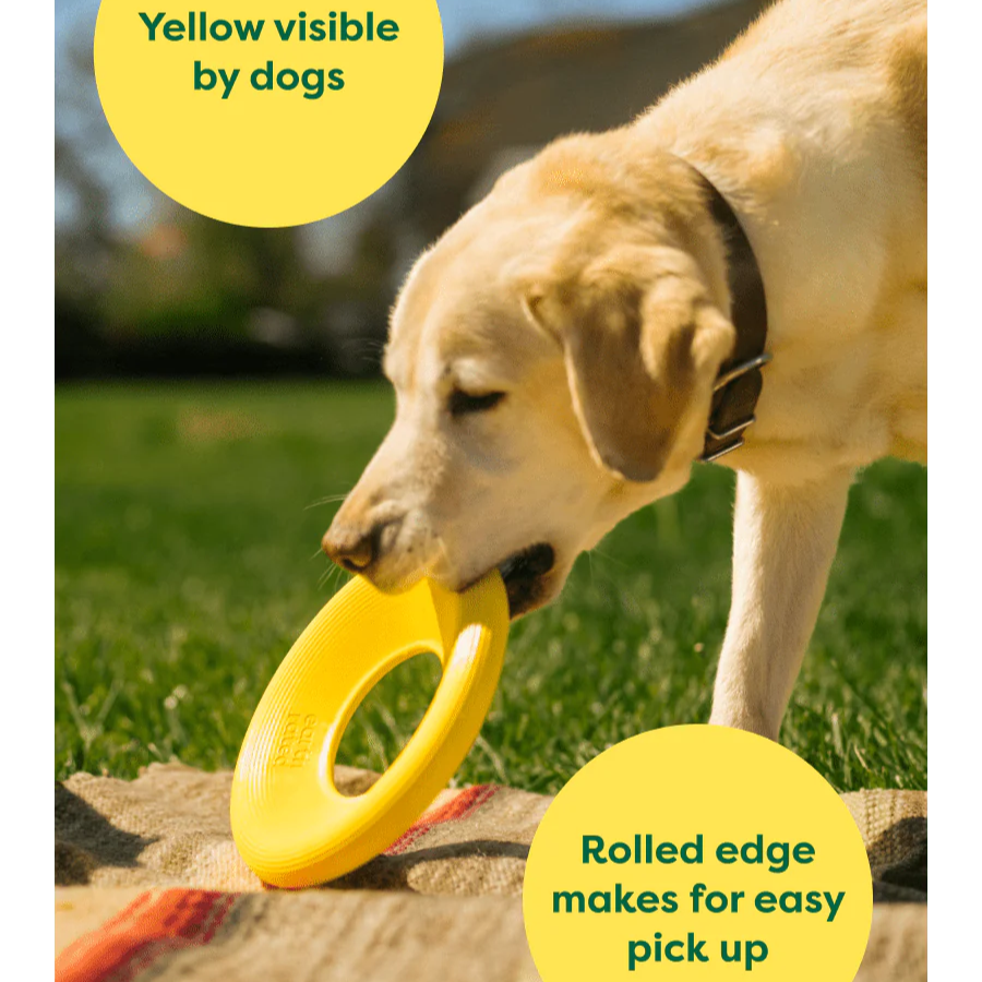 Earth Rated Dog Fly Toy - Interactive Flying Disc for Dogs - Durable Outdoor Fetch Toy for Active Dogs - Perfect for Park, Beach & Backyard Play