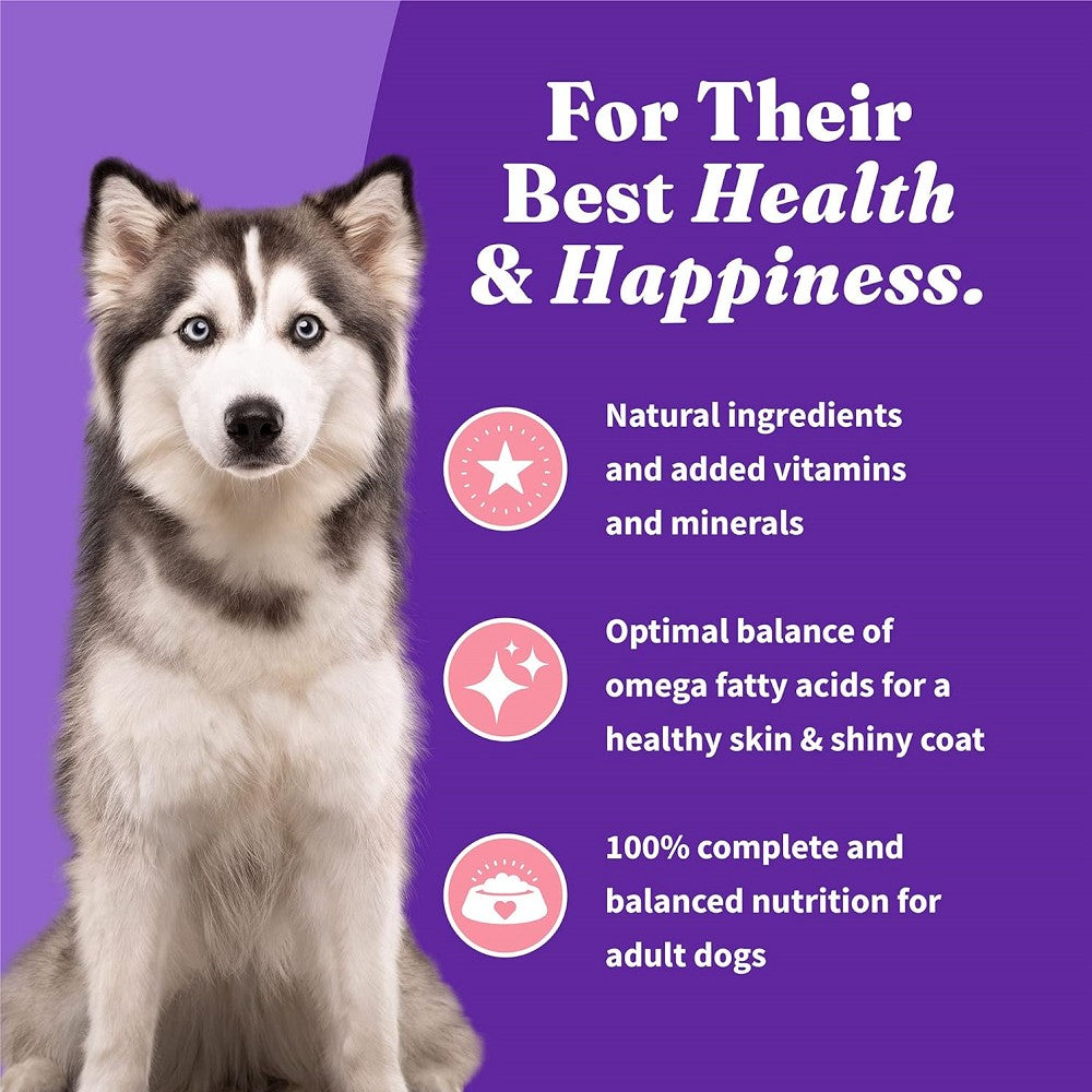 Premium Holistic Healthy Grains Dog Food with Wild Caught Salmon & Whitefish - High Protein Dry Kibble for Adult Dogs - Supports Skin, Coat & Joint Health - Ideal for Active & Sensitive Dogs