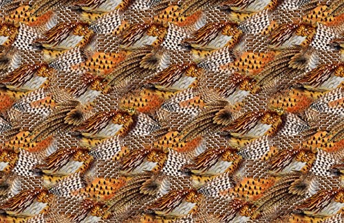 Pheasant Feathers