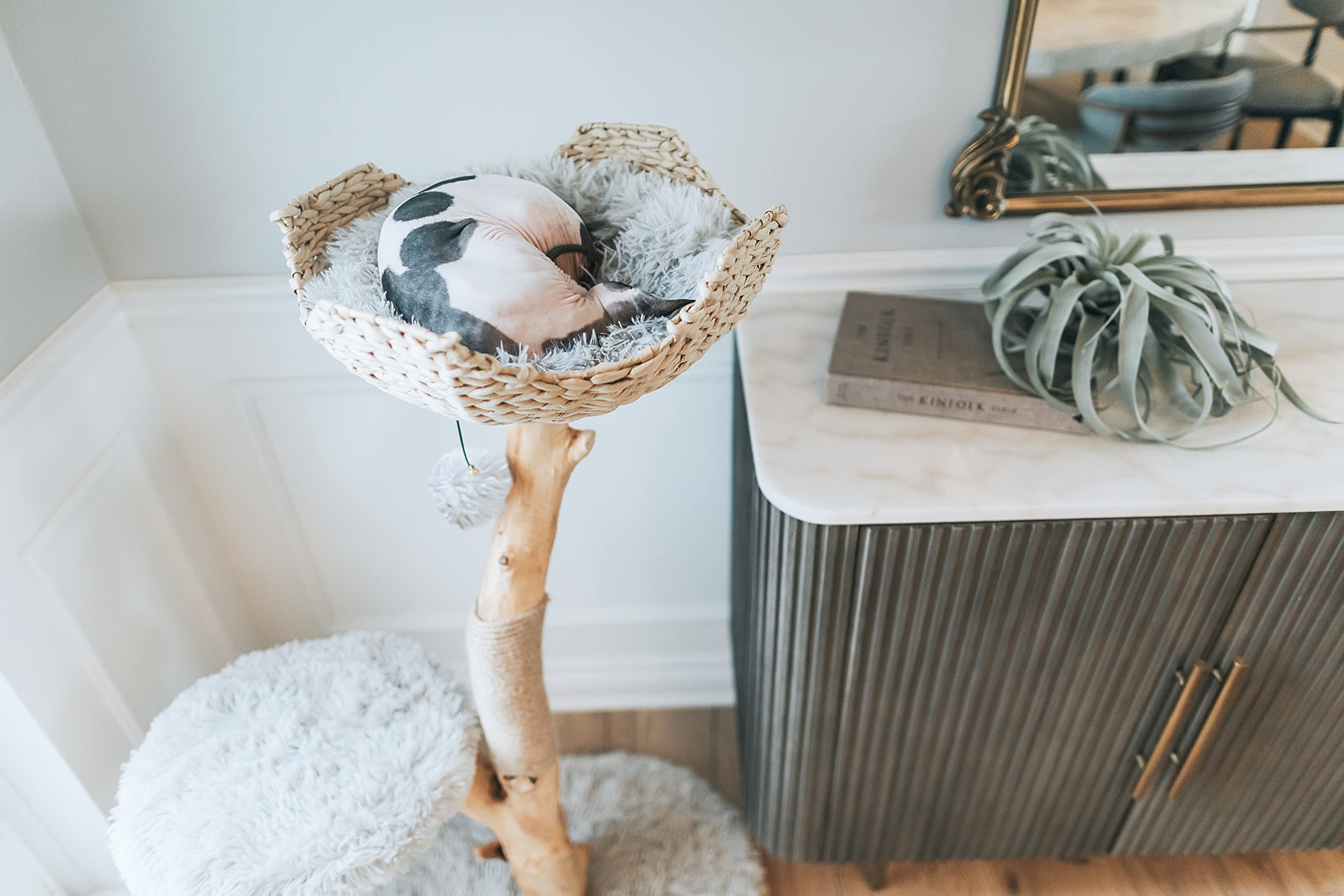 Modern Wooden Cat Tree Tower with Single Branch Condo - Natural Wood Cat Climbing Furniture for Indoor Cats - Perfect Cat Lover Gift for Home & Office - MAU LIFESTYLE (Bullet Gray) - Great for Play, Exercise & Relaxation