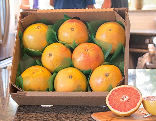 Fresh Florida Red Grapefruit - 8 Count, Juicy & Sweet Citrus Fruit for Breakfast, Juicing & Healthy Snacks