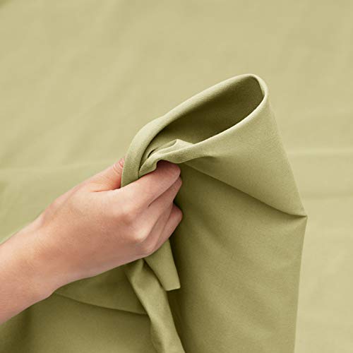 Sage Olive Green
