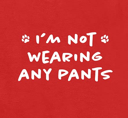Funny Dog Hoodie 'I'm Not Wearing Any Pants' - Cute Pet Sweatshirt for Puppy & Cat - Soft Breathable Dog Clothes for Small & Large Dogs - Perfect for Winter Walks & Photo Shoots | Charcoal (Small)