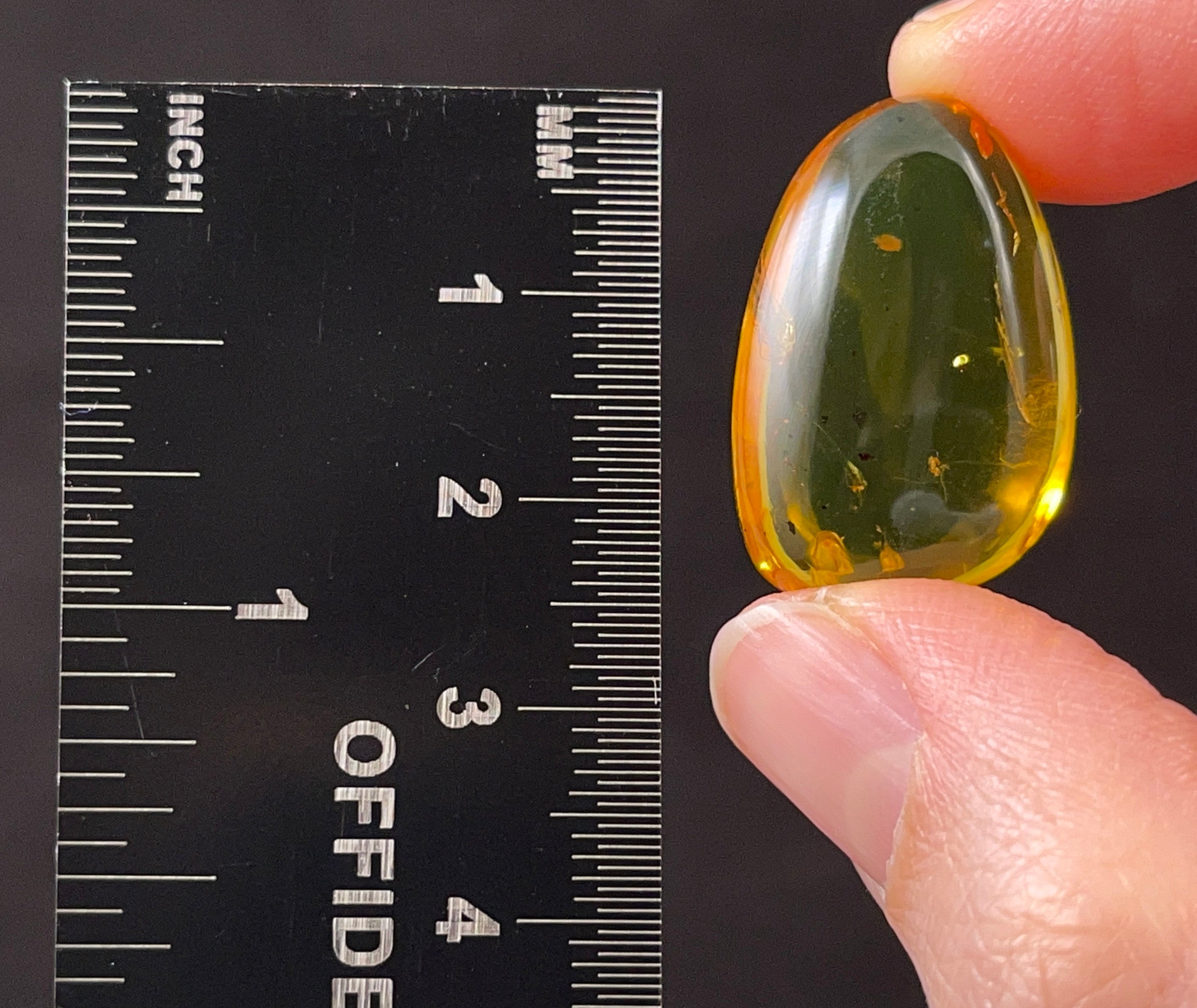 AMBER Stone with Real Insect Fossil - Natural Tumbled Crystals for Healing & Collection - Perfect for Jewelry Making, Meditation & Home Decor