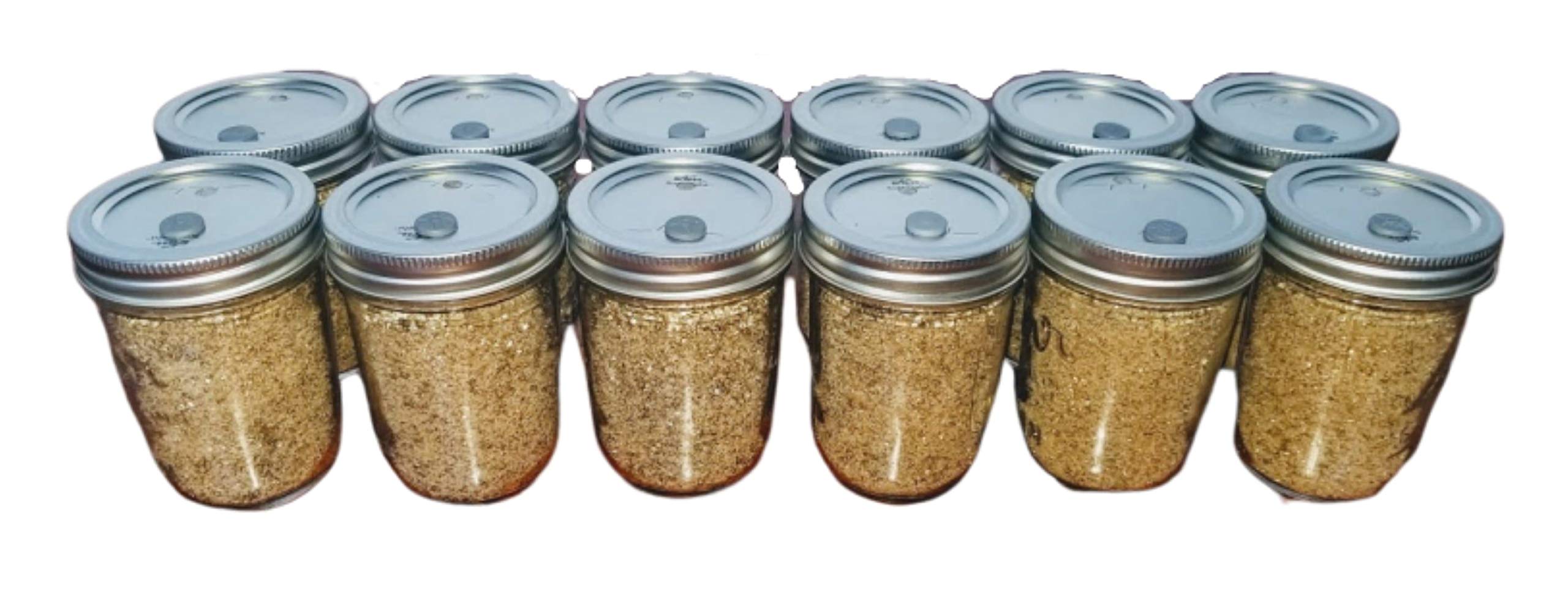 12 Jars BRF PF Tek Brown Rice Flour Mushroom Substrate - Pre-Sterilized Half Pint Jars with Self-Healing Injection Ports for Gourmet Mushroom Cultivation at Home | Ideal for Oyster, Shiitake, and Lion's Mane Mushrooms