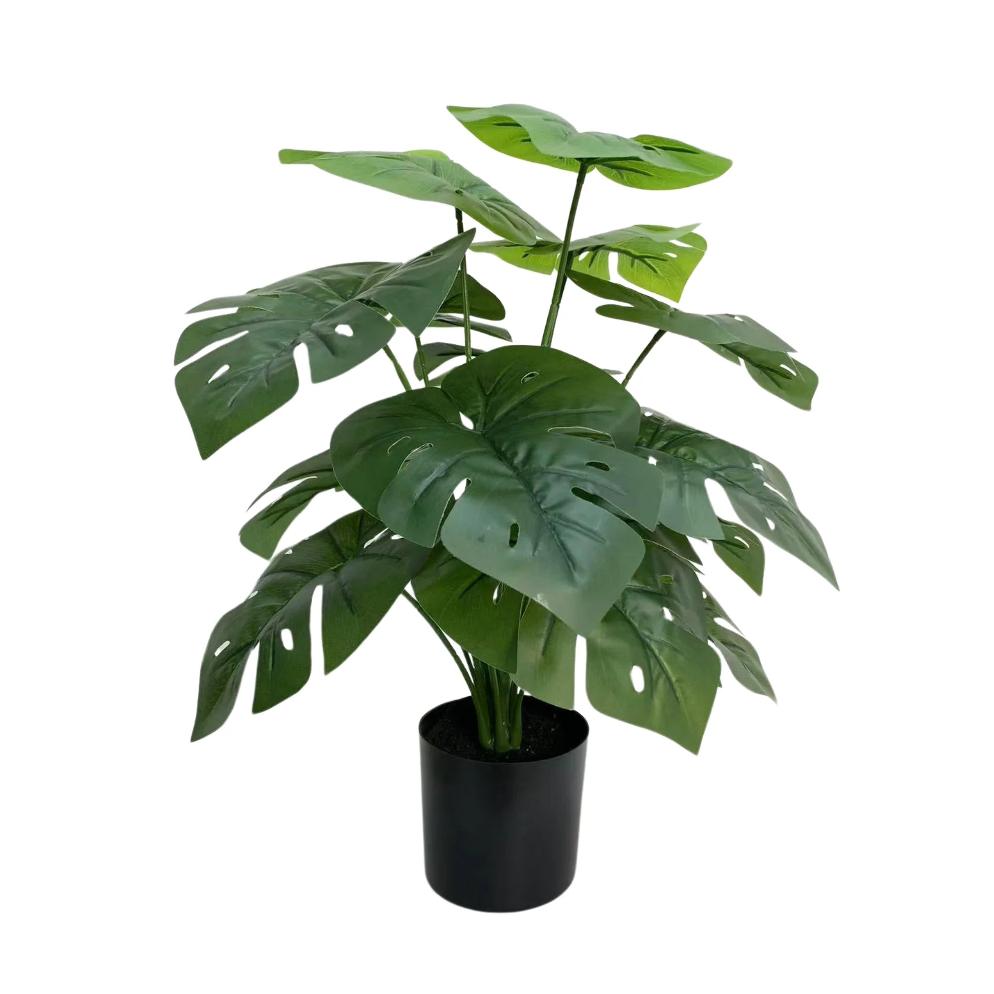 Mini Monstera Plant - 50cm Decorative Potted Greenery for Home & Office - Perfect for Indoor Decor, Housewarming Gifts, and Shelf Styling
