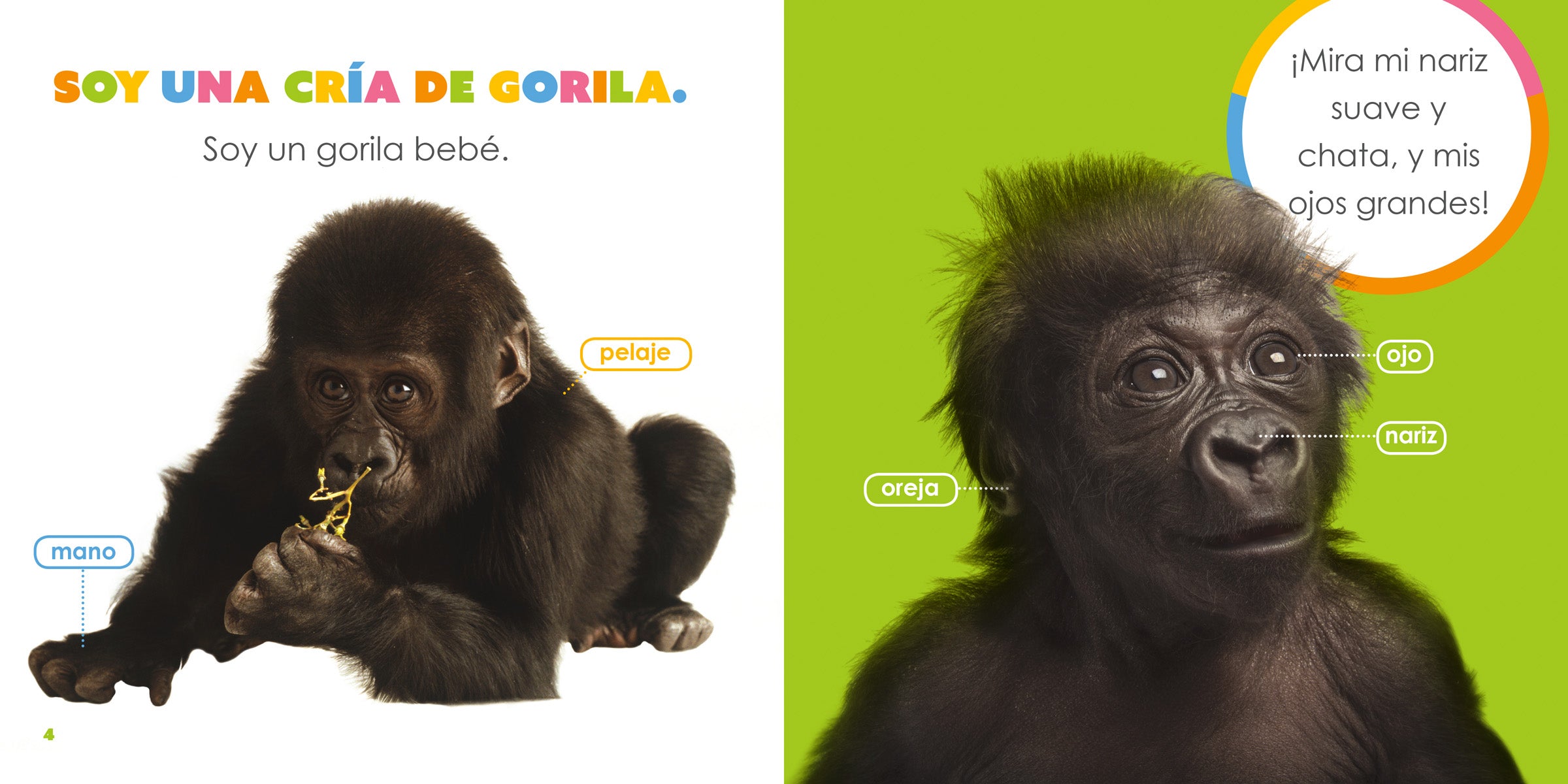 Baby Gorillas Book 9781640262782 - Learn About Gorilla Families, Habitats & Conservation for Kids & Animal Lovers