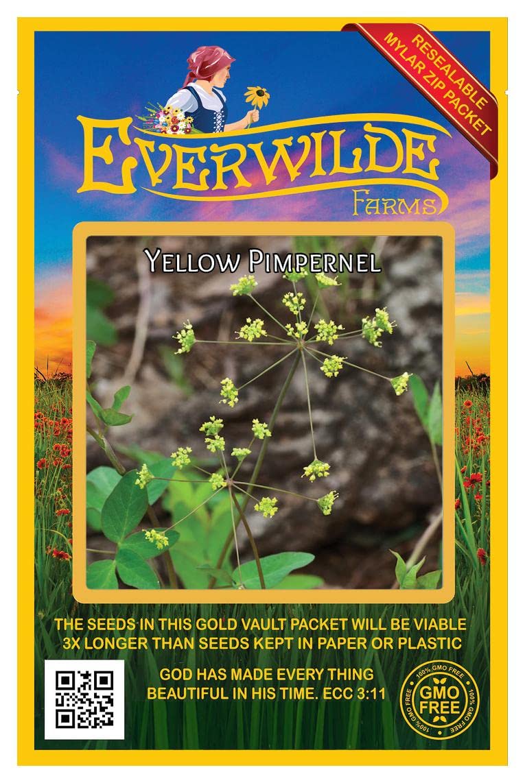 Everwilde Farms - 40 Yellow Pimpernel Native Wildflower Seeds for Planting - Gold Vault Jumbo Seed Packet - Perfect for Gardens, Landscaping & Pollinator Habitats