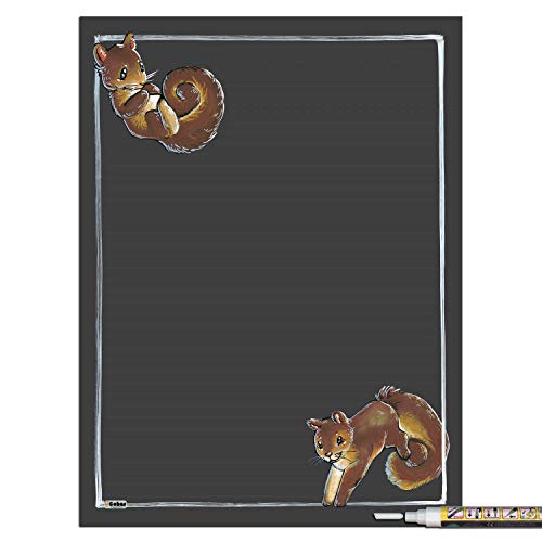 Squirrel With 1 White Marker
