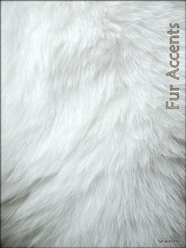 Warm Off White