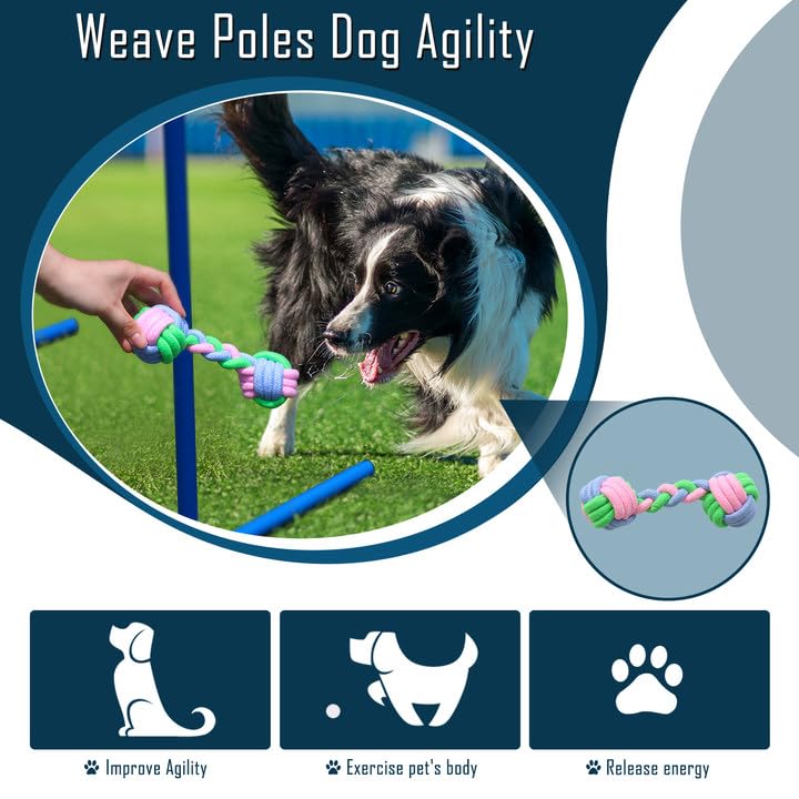 Premium Dog Agility Training Set - Portable Backyard Obstacle Course with 2 Tunnels, 3 Jumps & 6 Weave Poles | Professional Dog Agility Equipment for Small & Large Dogs | Perfect for Backyard Training, Competitions & Outdoor Exercise