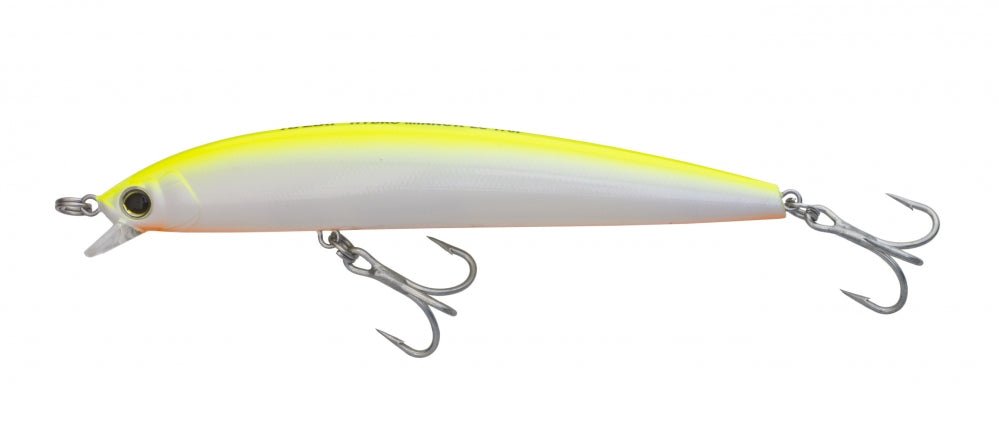 Sardine