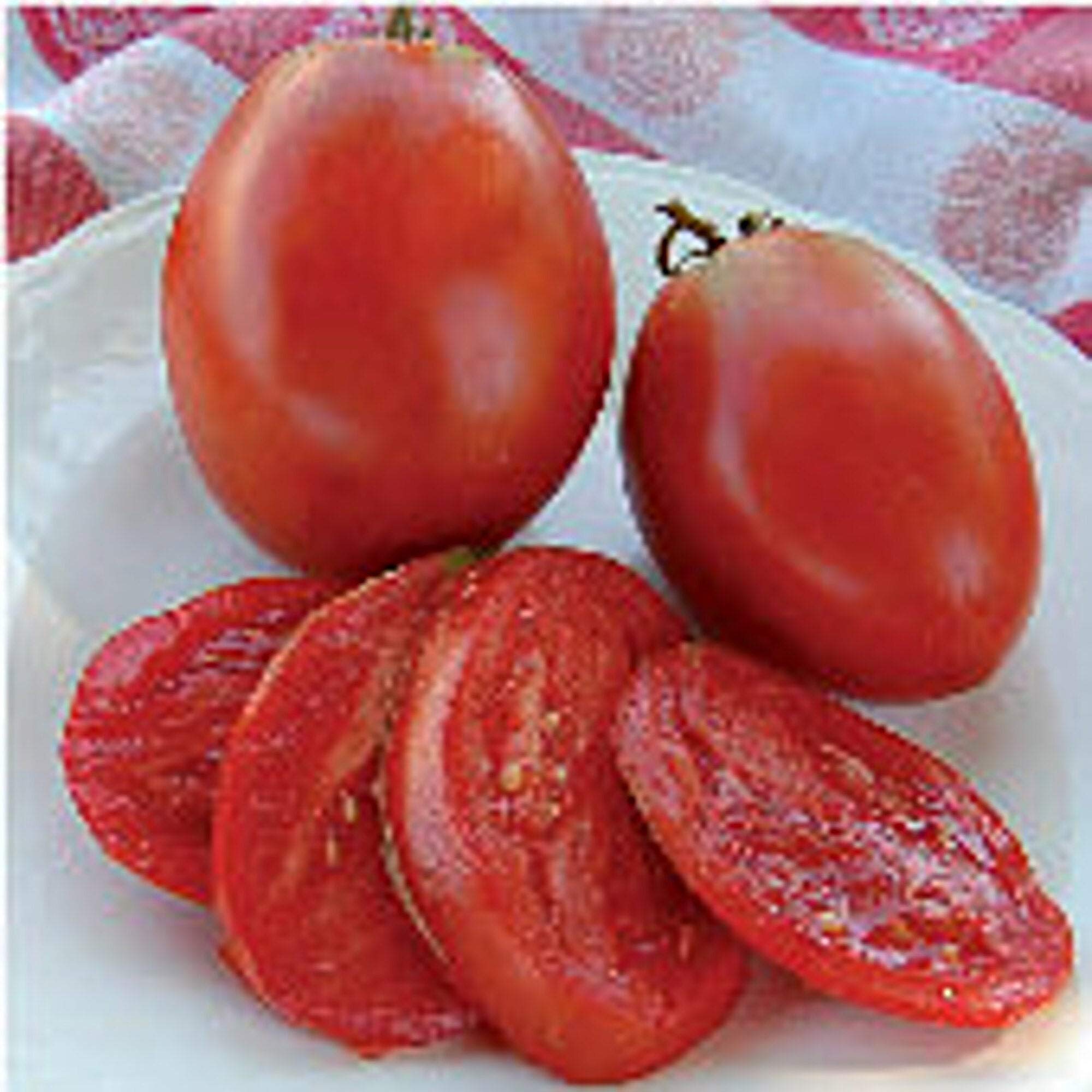 Amish Paste Tomato Seeds - 25+ Heirloom, Non-GMO Seeds for Vegetable & Herb Gardens | Perfect for Sauces, Canning & Fresh Eating