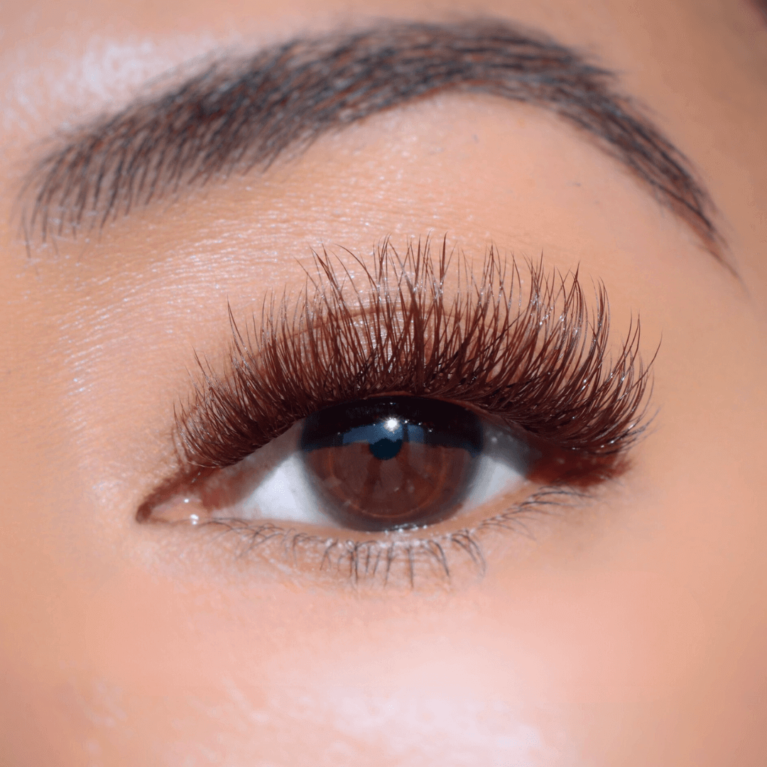 Professional Curated Eyelash Extension Kit - Natural & Dramatic Looks for Every Occasion | Perfect for Bridal, Party & Everyday Wear