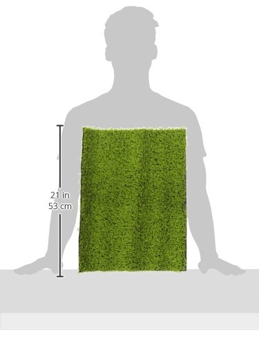 PetSafe Small Pet Loo Grass - Easy Clean Potty for Dogs & Cats