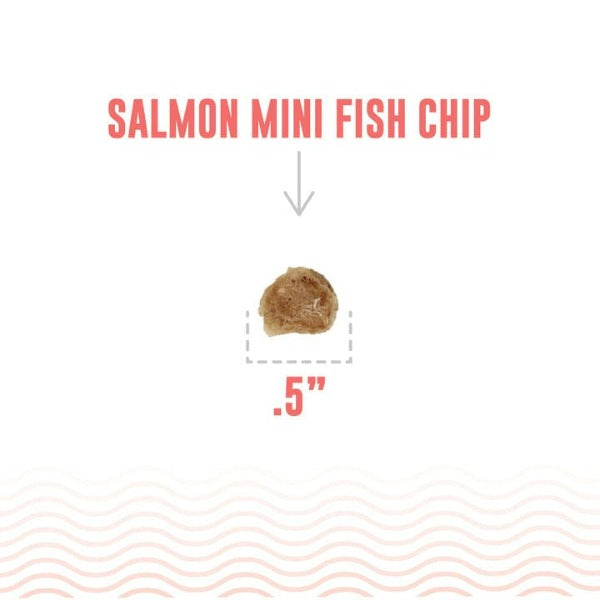 Premium Icelandic Salmon Mini Fish Chips Dog Treats - All-Natural, Grain-Free Snacks for Small & Large Dogs - Perfect for Training Rewards & Dental Health Care