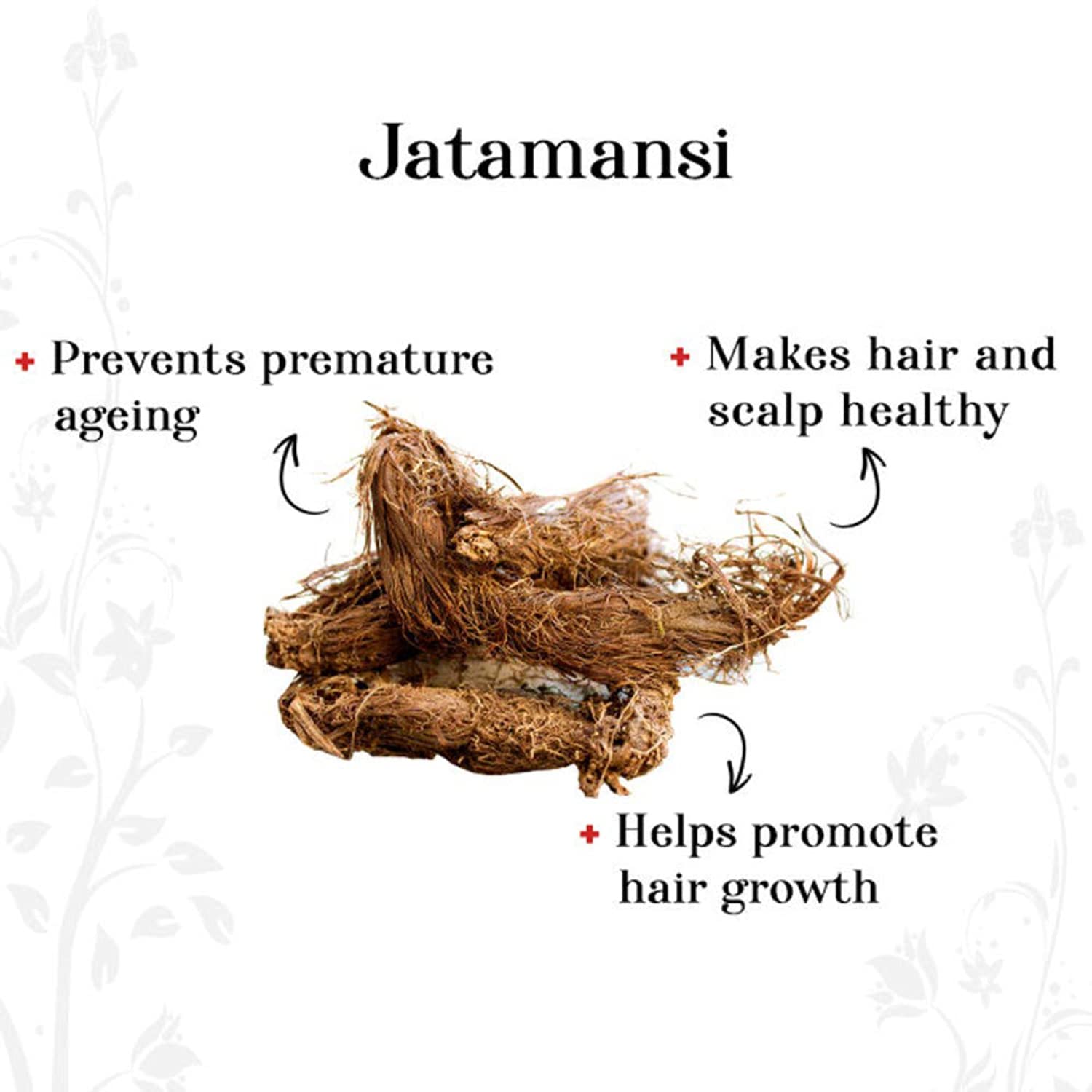 Oilanic 100% Pure Natural Jatamansi Powder for Skin & Hair Care - 3 Jar Combo (300g) | Organic Ayurvedic Herbal Supplement for Glowing Skin & Healthy Hair Growth | Perfect for DIY Face Masks, Hair Treatments & Aromatherapy