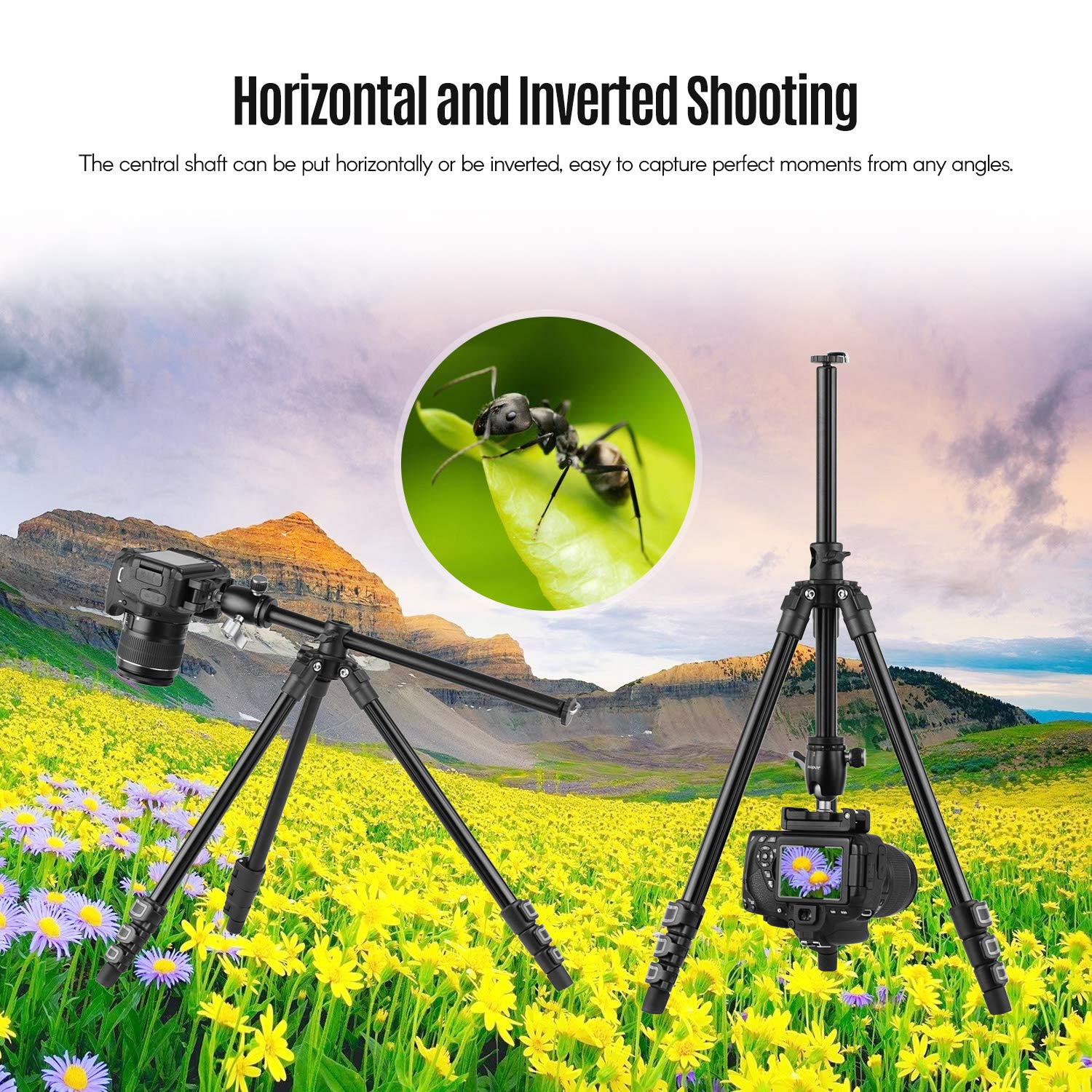Professional HUIOP Q160H Portable Camera Tripod with 360° Ball Head - Lightweight Travel Tripod for DSLR, Smartphones & Action Cameras | Includes Phone Holder & Remote | Perfect for Vlogging, Photography & Outdoor Adventures