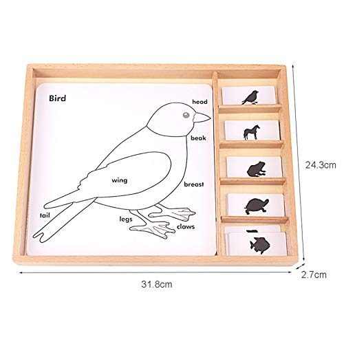 Montessori Botany Puzzles for Kids - Science Learning Toys with Plants & Animals Cards, PVC Wood Box - Educational English Games for Children | Perfect for Homeschooling & Preschool STEM Activities