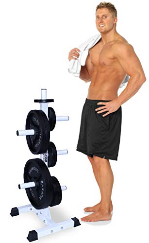 Deltech Fitness Olympic Weight Plate Tree – Heavy Duty Barbell Weight Storage Rack for Home & Commercial Gyms – Perfect for Organizing Weight Plates & Saving Space