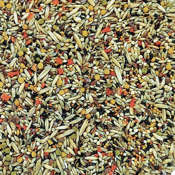 Premium HARI Gourmet Canary Seed Mix - Nutritious & Delicious Bird Food for Healthy Canaries - Perfect for Daily Feeding & Bird Treats