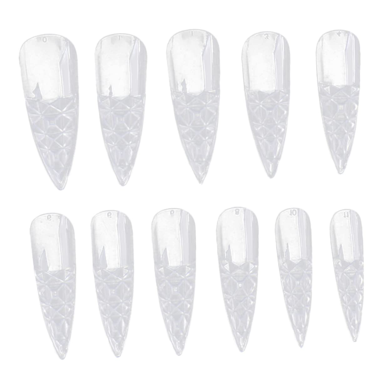 Beavorty 500pcs False Toenails Kit - Detachable Fake Nails for Bitten Nails, DIY Nail Art Tips & Patches | Perfect for Home Manicure, Salon Nail Extensions & Toe Nail Repair