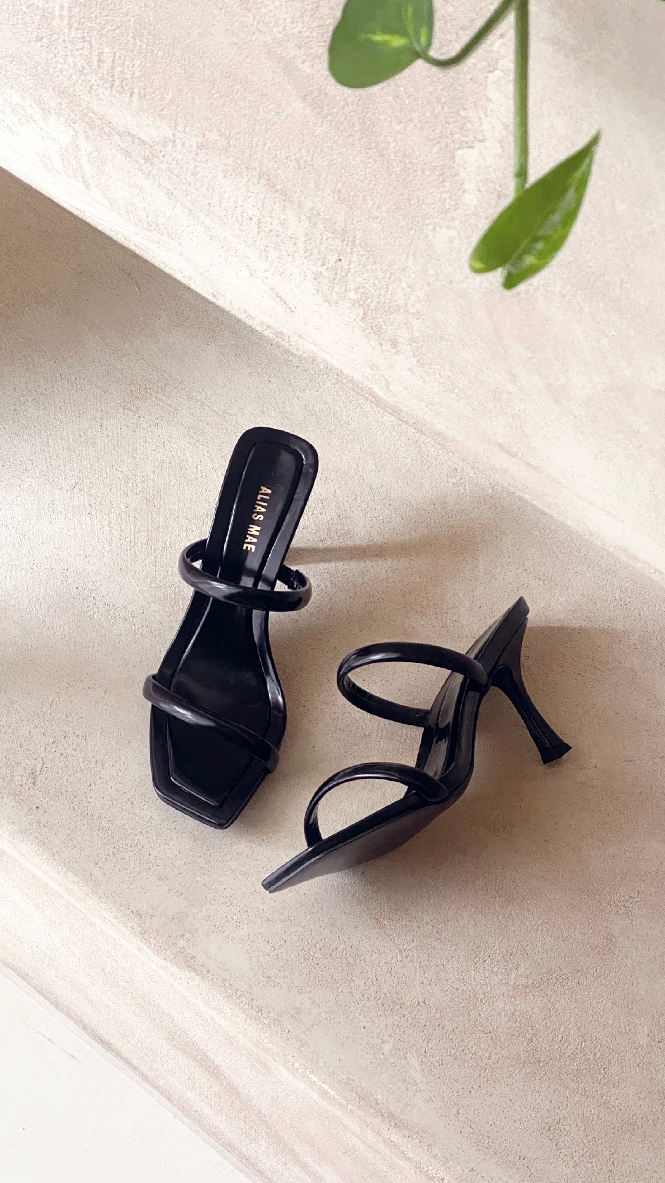 Alias Mae Kasey Heel - Stylish Black Box for Women | Perfect for Office, Party & Special Occasions