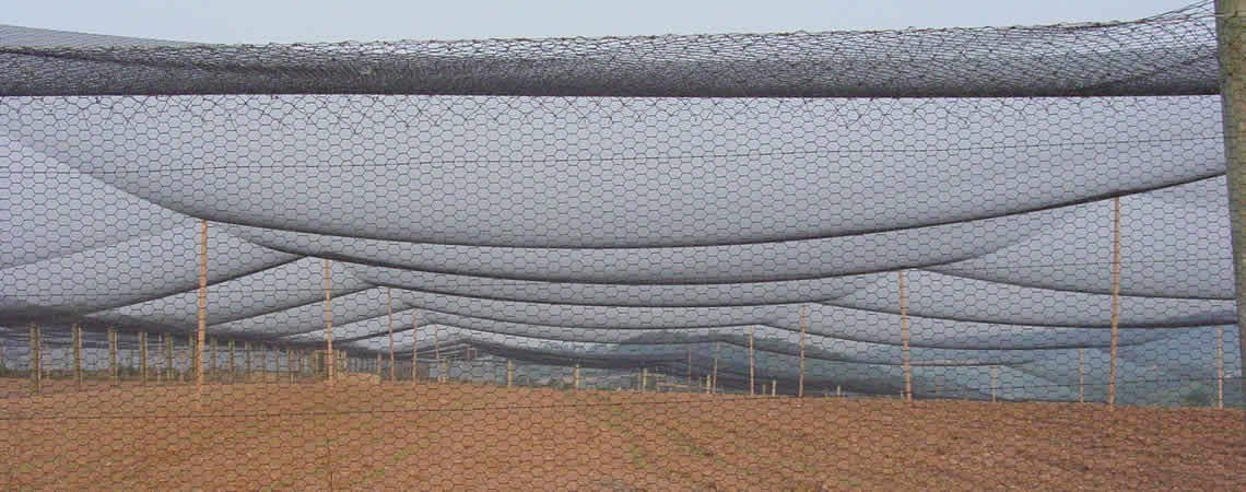 Heavy Duty Poultry Netting 12.5ft x 150ft - 2