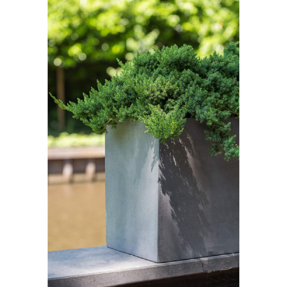Grey Rectangle Fiberstone Planter Box - Indoor Outdoor Garden Pot for Plants & Flowers - 16”H x 12”W x 31”L - Modern Home & Patio Decor - Perfect for Living Room, Balcony, Office, or Backyard Landscaping