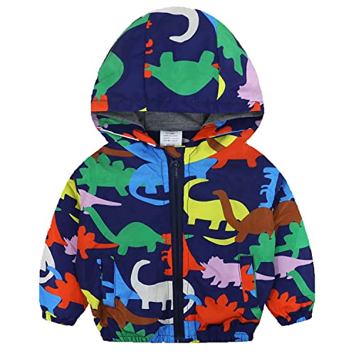 Colorful Dinosaur