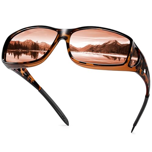 A14 Glossy Tortoise Frame/Brown Lens