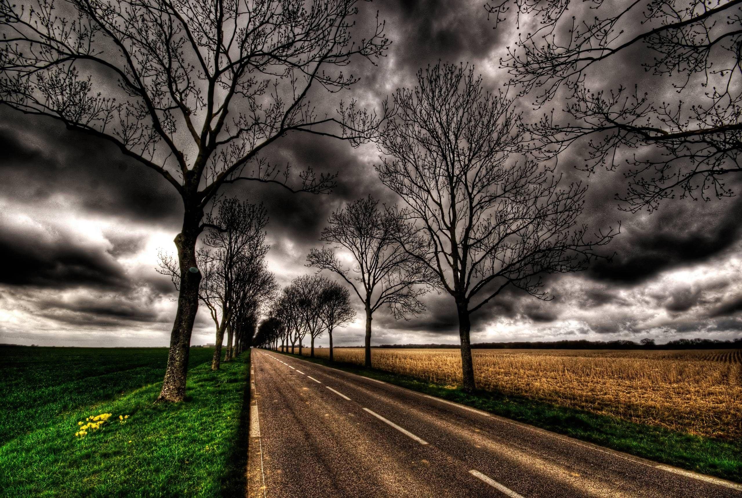 Country Road Canvas Art - Framed Landscape Painting Wall Decor for Home, Office, Bedroom - Ready to Hang - Perfect for Living Room, Dining Area & Gifts
