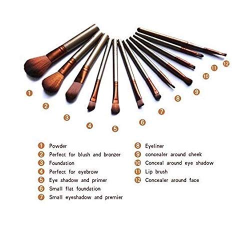 Premium 12-Piece Makeup Brush Set with Silver Storage Box - Soft Bristles for Foundation, Blending, Contouring - Perfect for Professional Makeup Artists & Home Use