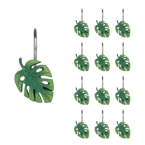 Ombre Green Monstera Deliciosa