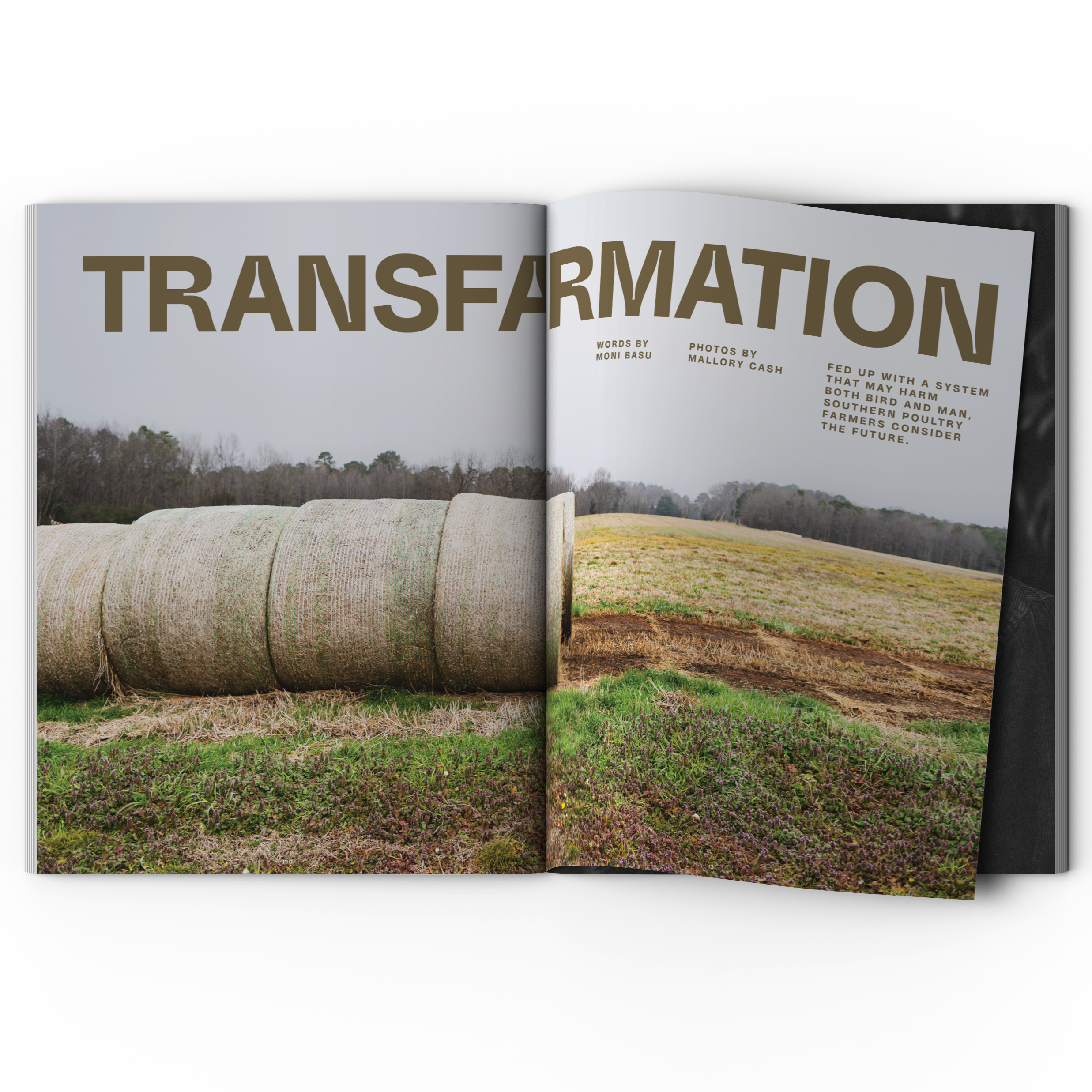 BS Magazine – Issue No. 10 | Premium Lifestyle & Culture Print Edition | Perfect for Coffee Table Reading & Collector's Item