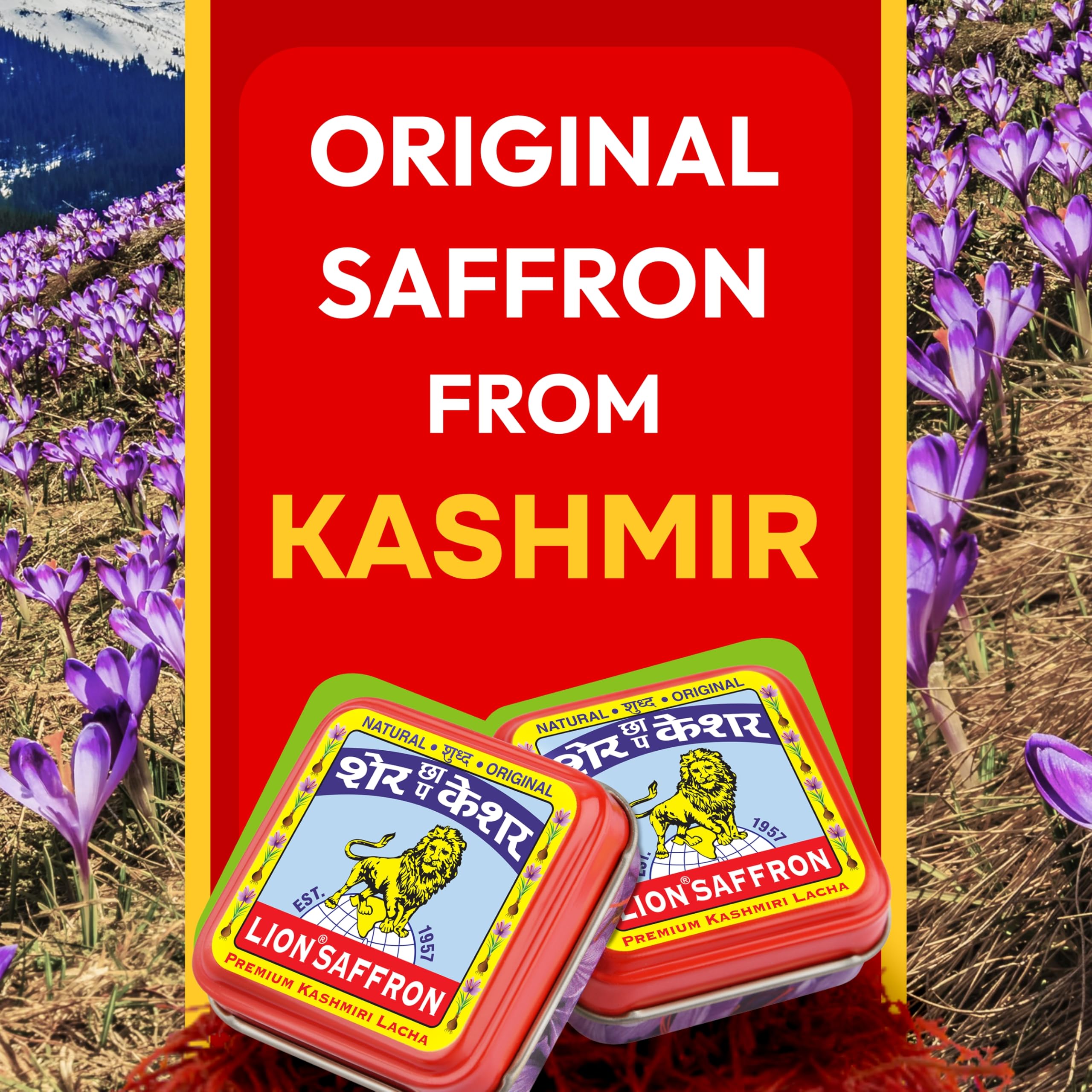 Premium Kashmir Saffron (Kesar/Azafran) - Certified Grade A+ Pure Kashmiri Saffron Threads 1g for Cooking, Tea, Biryani & Health Benefits | Ideal for Gourmet Dishes, Skincare & Wellness Rituals