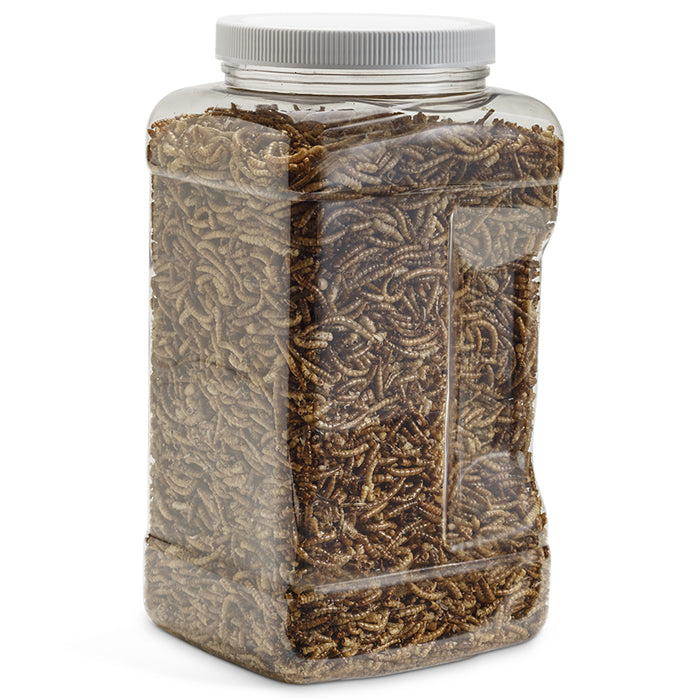 Duncraft Premium Dried Mealworms for Birds - 20 oz Bulk Pack - High Protein Wild Bird Food for Chickens, Bluebirds & Reptiles - Perfect for Backyard Feeding & Wildlife Nutrition