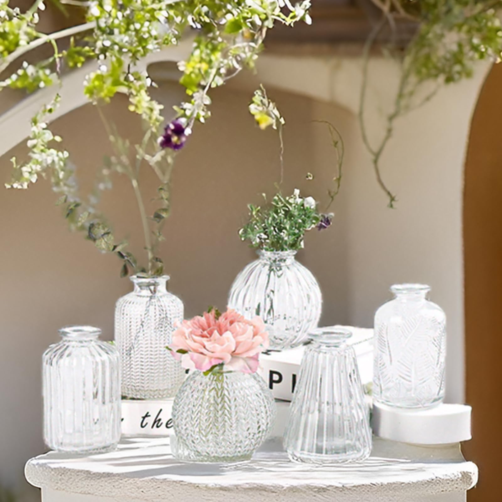 EylKoi 6-Piece Set Small Glass Flower Vases - Clear Bud Vases in Different Shapes for Weddings, Home Decor & Table Centerpieces | Perfect for Wedding Decorations, Home Events & Floral Arrangements