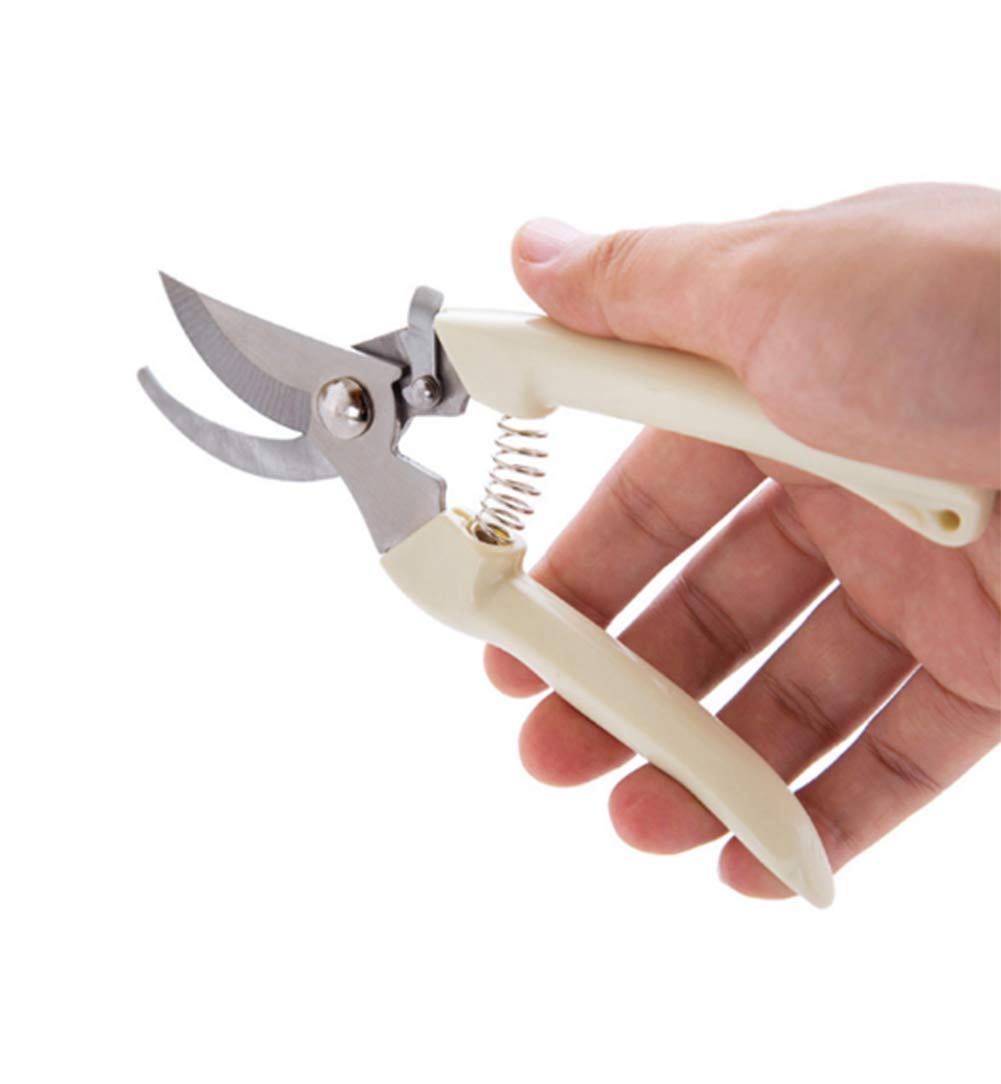 AKOAK 1 Pack Professional Gardening Scissors - Precision Trimmers for Fruit Trees, Branches, Flowers & Bonsai Plants | Ideal for Grafting, Pruning & Plant Care | Perfect for Home Gardeners & Landscaping Enthusiasts
