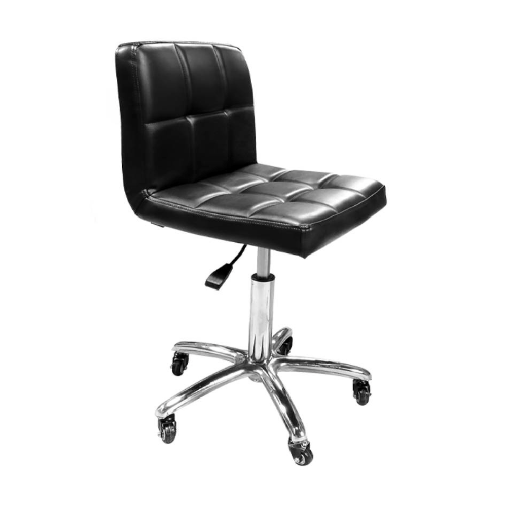 Premium Hydraulic Adjustable Rolling Stool with Backrest - Ergonomic Office Chair for Dentists, Tattoo Artists & Salon Professionals - Heavy Duty Swivel Stool for Workbench, Lab & Beauty Stations (RSWB481)