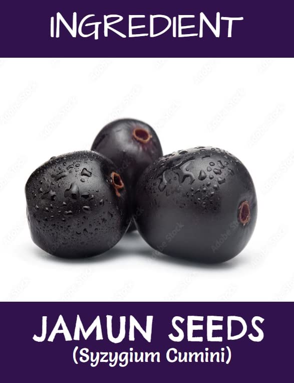 MR Ayurveda Jamun Seed Powder | 100% Pure Jamun Guthli Powder for Skin & Hair Care | Natural Diabetes Support Supplement | 100g | Perfect for Smoothies, Face Masks & Herbal Remedies