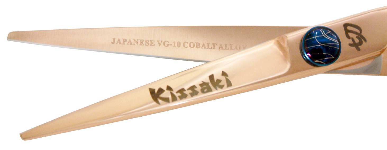 Professional VG10 Steel 6.0