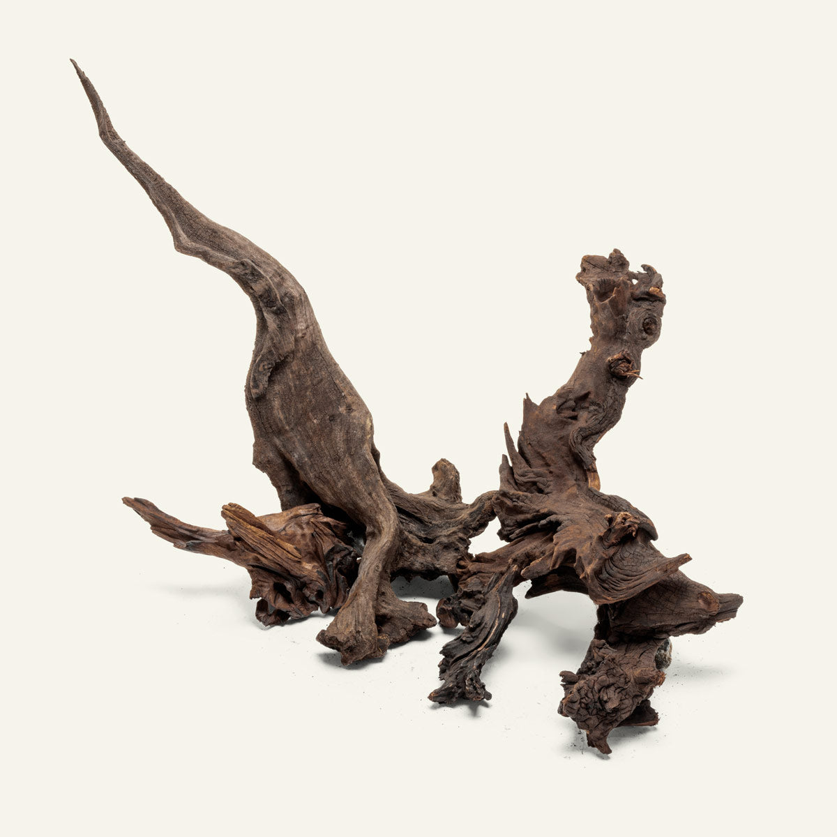 Natural Malaysian Driftwood for Aquarium Decor - Unique Wood Pieces for Fish Tank, Terrarium & Home Decoration - Perfect for Aquascaping & DIY Projects