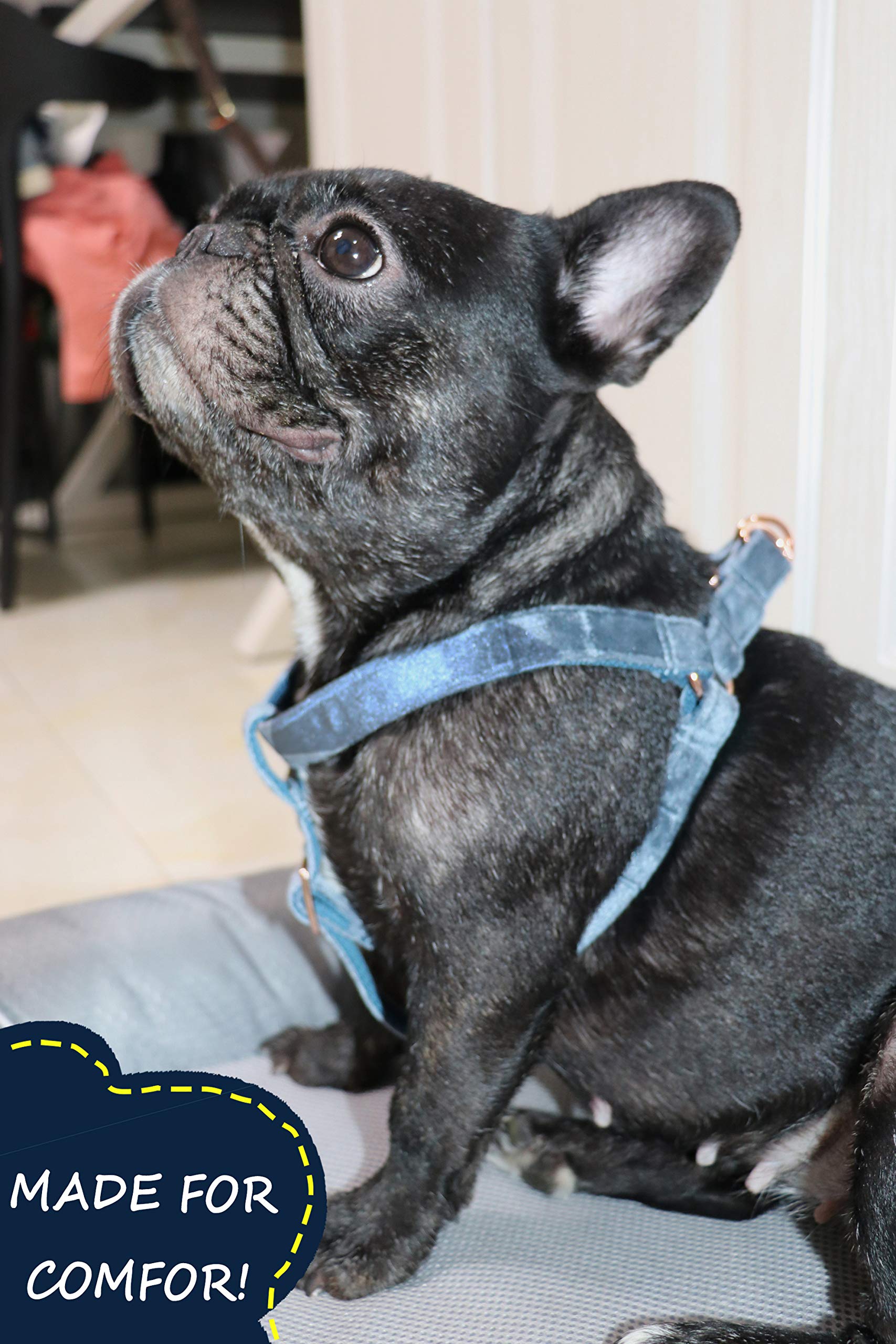 ARING PET Velvet No Pull Dog Harness - Adjustable Heavy Duty Pet Vest for Small to Large Dogs - Comfortable Walking & Training Aid for Daily Walks & Outdoor Adventures