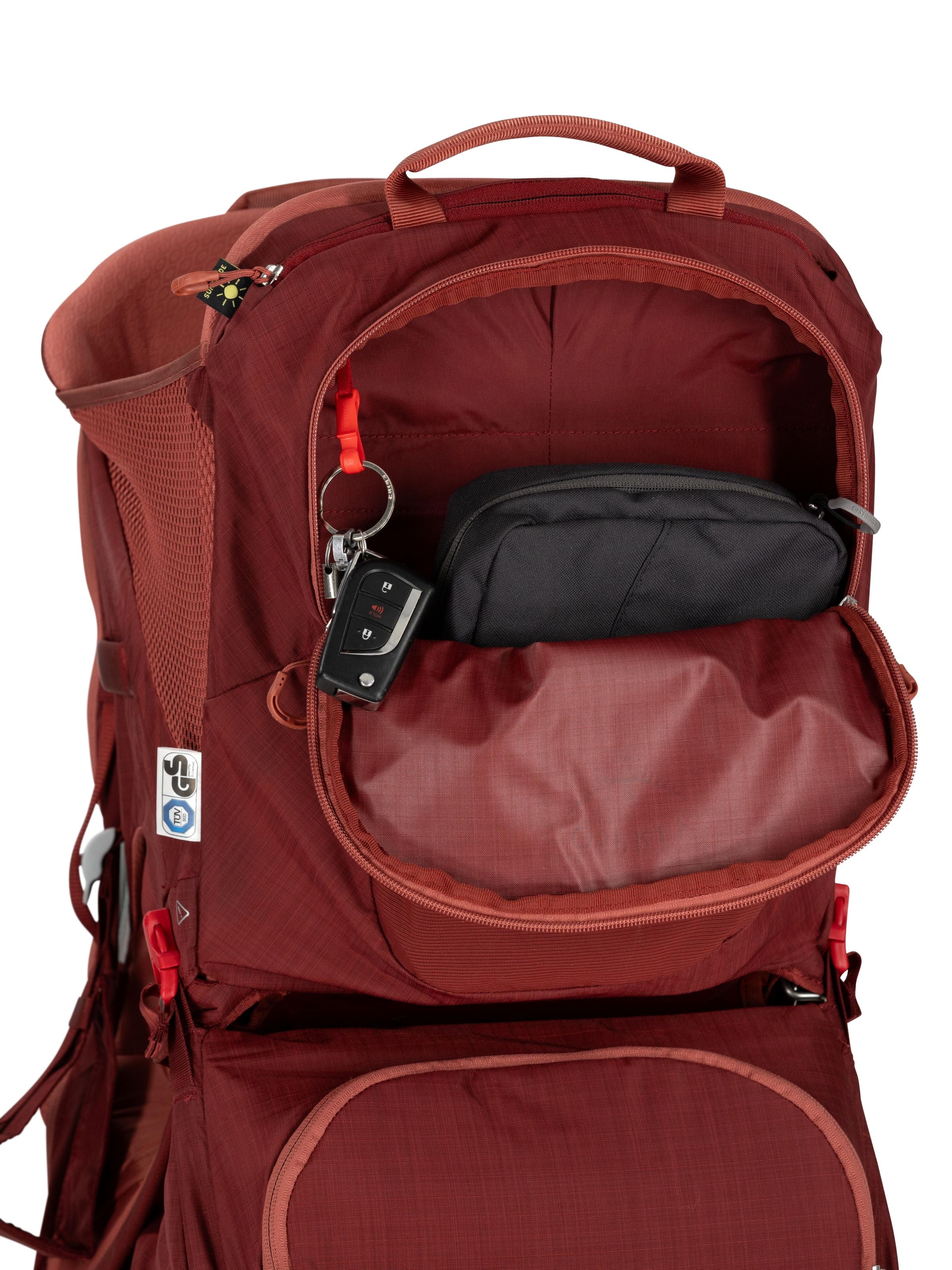 Osprey Poco LT Child Carrier Backpack - Lightweight & Comfortable Hiking Baby Carrier for Outdoor Adventures, Travel & Daily Use
