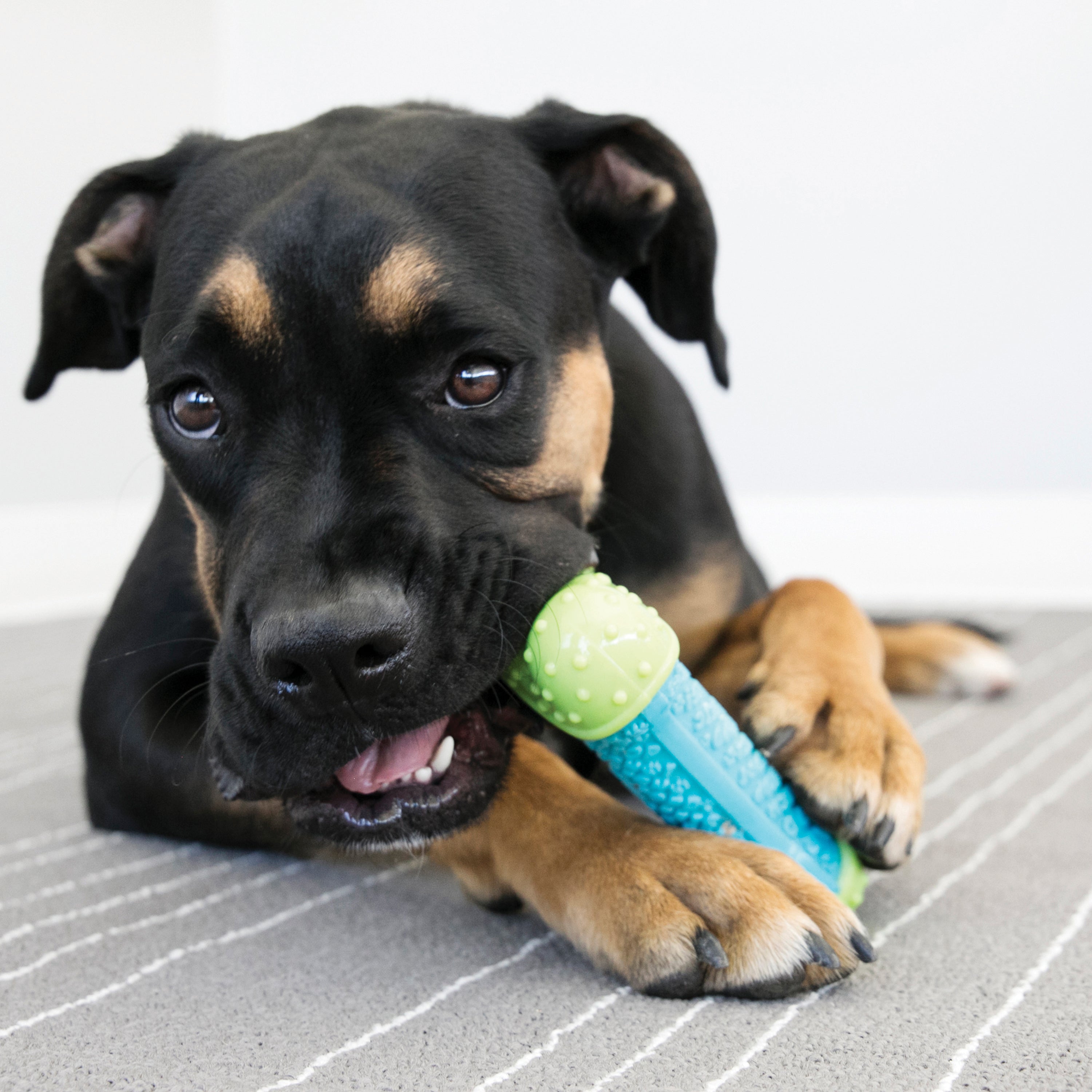 Kong Core Strength Ball - Durable Dog Chew Toy for Aggressive Chewers, Interactive Play & Dental Health - Perfect for Training, Fetch & Teething Puppies