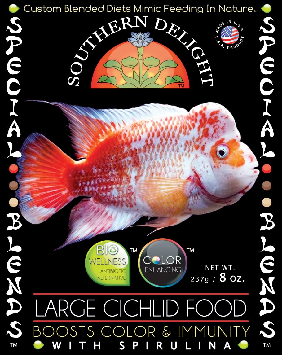Premium Large Cichlid Fish Food Pellets - High Protein Formula for African & South American Cichlids - Ideal for Aquariums, Fish Tanks & Pond Feeding
